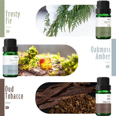 Rosemary Eucalyptus scented oil bottle (10ml)