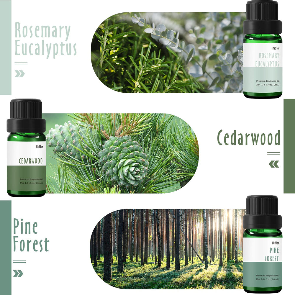 Boxed MitFlor Woodland Set with six 10ml bottles