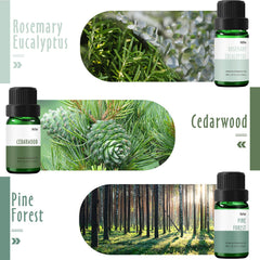 Boxed MitFlor Woodland Set with six 10ml bottles