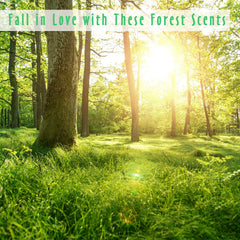 Usage ideas: diffuser, candle, and soap crafting with MitFlor Woodland oils