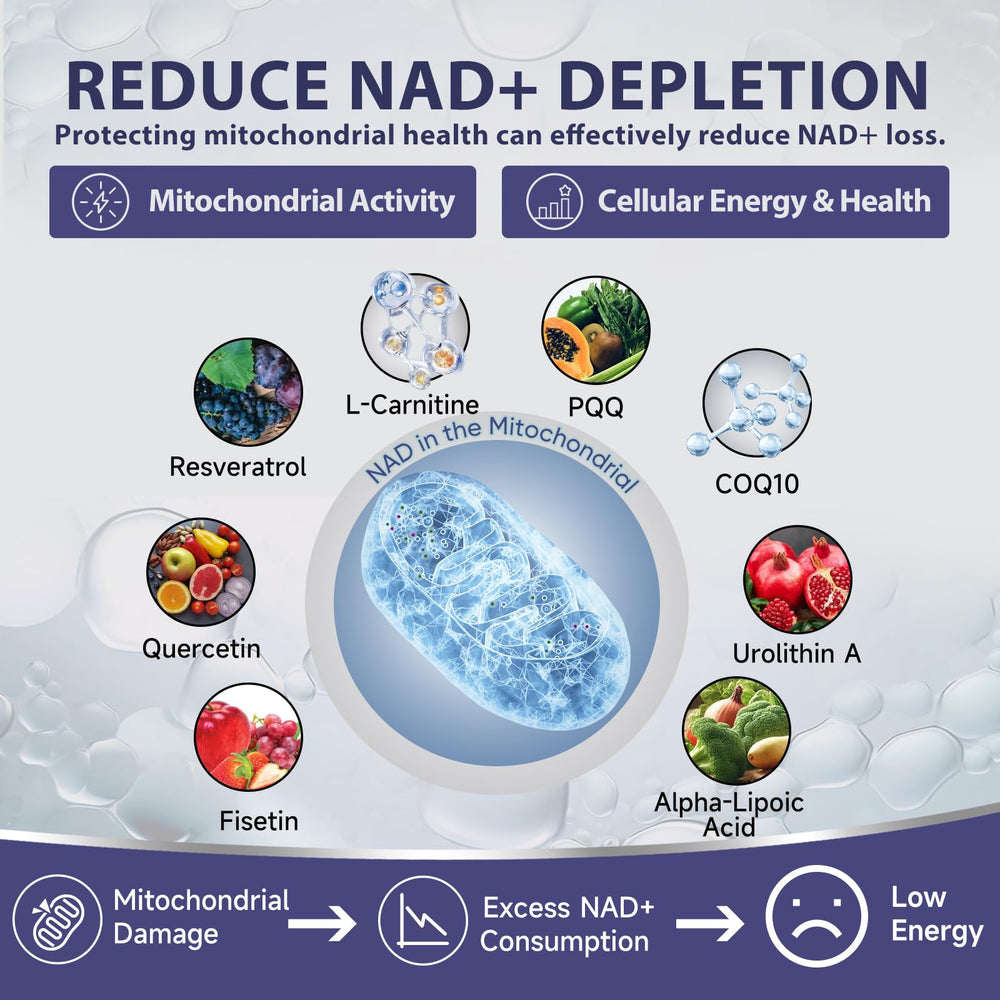 Mitochondrial health illustration with energy icons