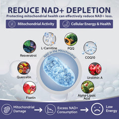 Mitochondrial health illustration with energy icons