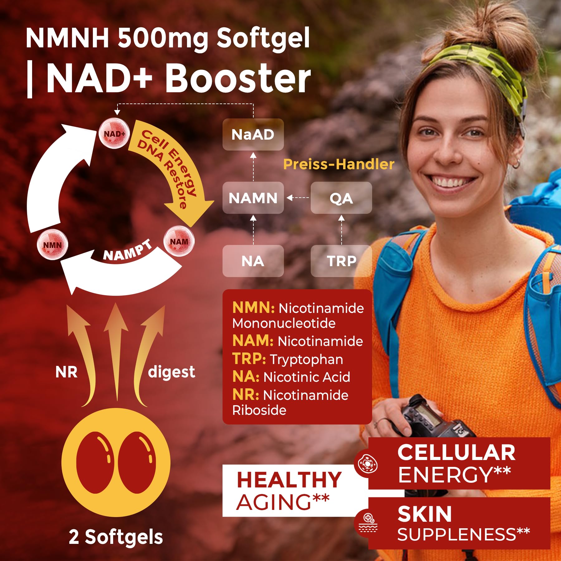 Mitochondrial health and energy graphic