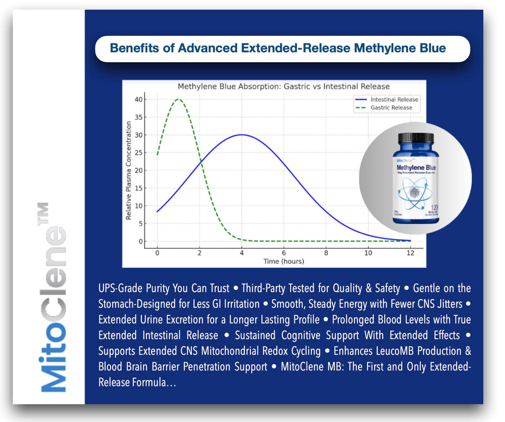 Graphic illustrating mitochondrial energy support and brain focus