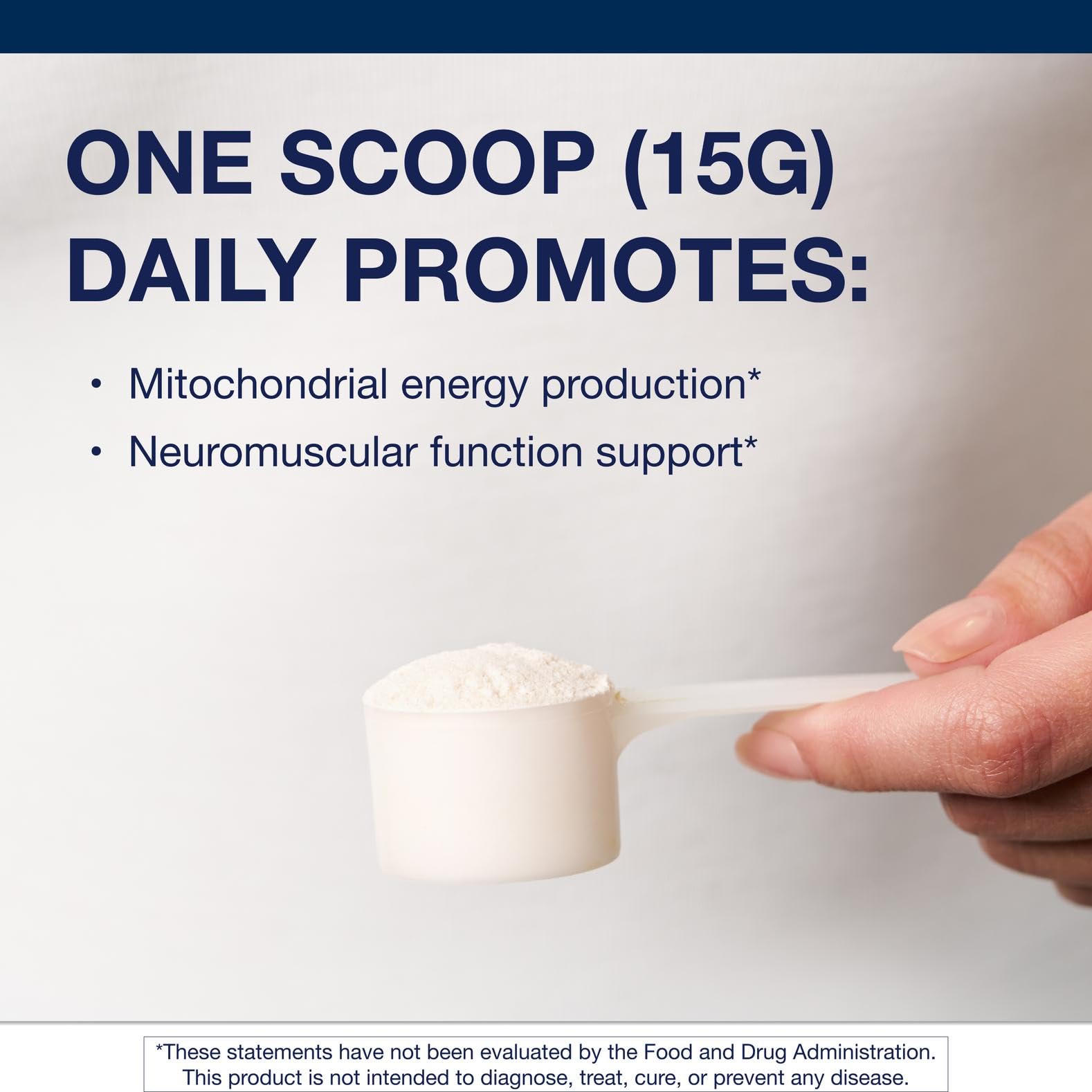 Supplement ingredients showcasing Magnesium and Ascorbic Acid for neuromuscular support