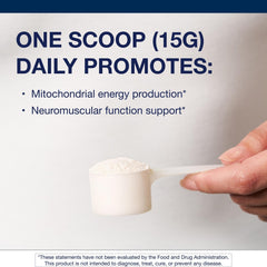 Supplement ingredients showcasing Magnesium and Ascorbic Acid for neuromuscular support