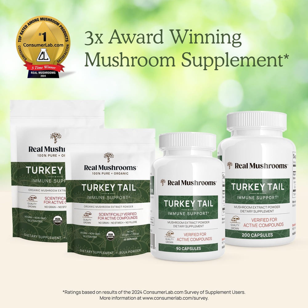 Turkey tail powder being added to coffee, tea, or smoothie