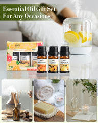 MIZZEO Fruity oil set diffuser-use image showing relaxing ambient aroma