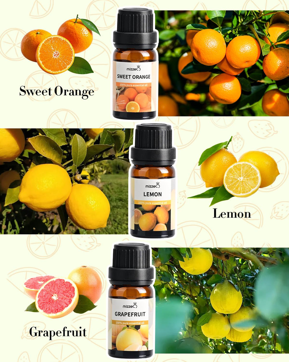 MIZZEO Grapefruit essential oil bottle for energizing morning routines