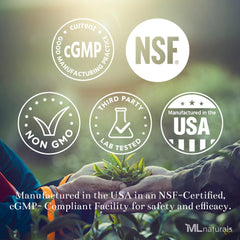 Per-pack information for ML Naturals Mastic Gum 1000mg