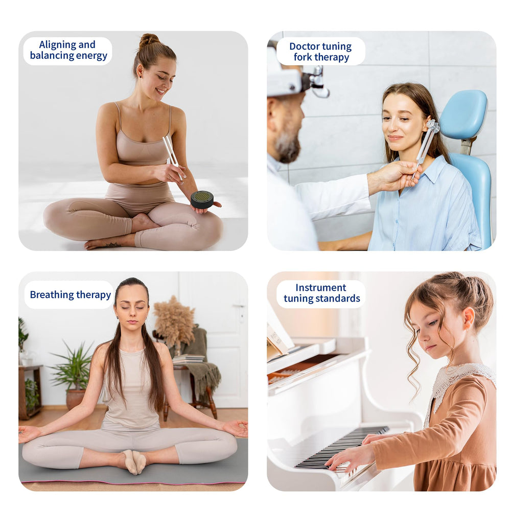 mllusxg complete tuning fork set shown in portable starter kit