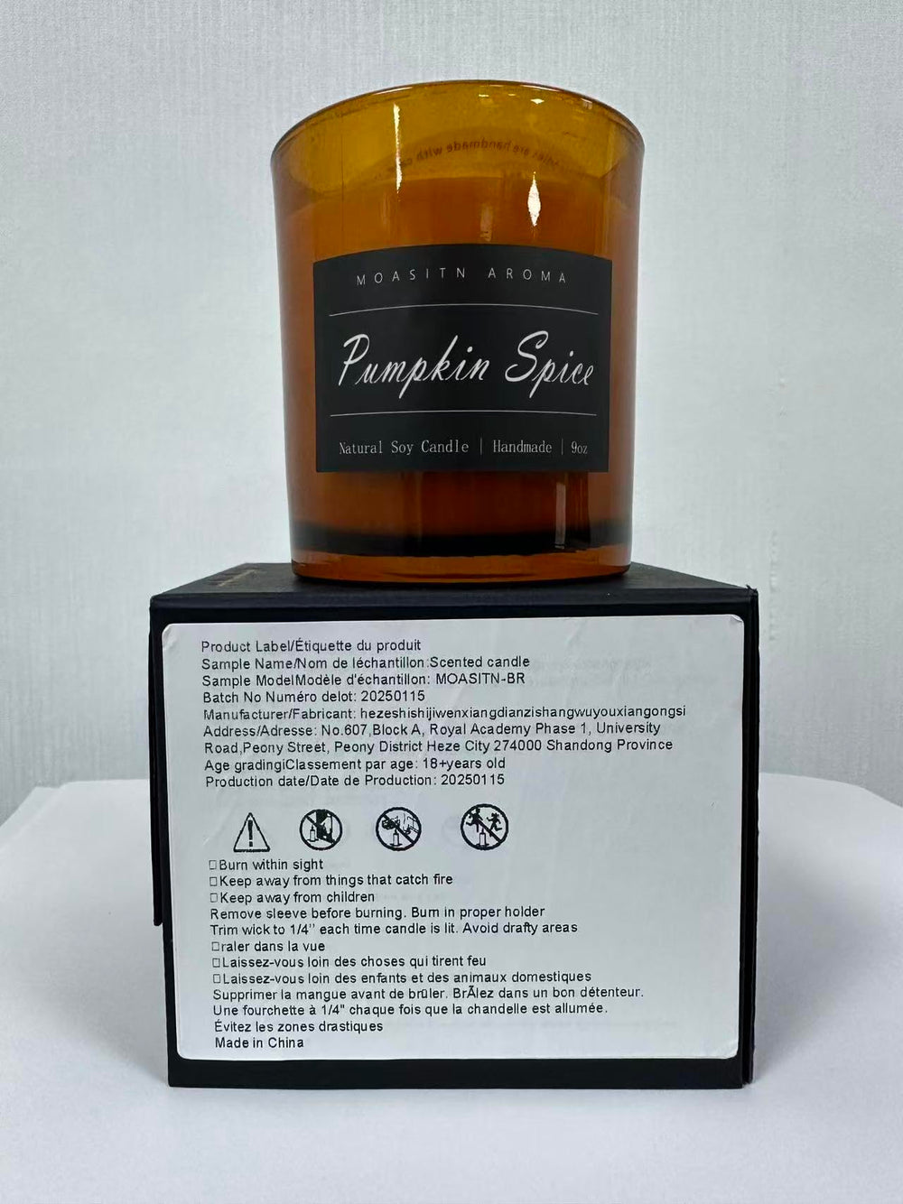 MOASITN Pumpkin Spice candle in living room setting