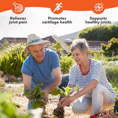 Turmeric root and capsules representing active ingredients in Mobili-T