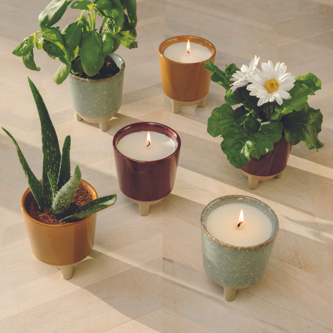 Modern Sprout Glow and Grow packaging and reusable vessel for gifting