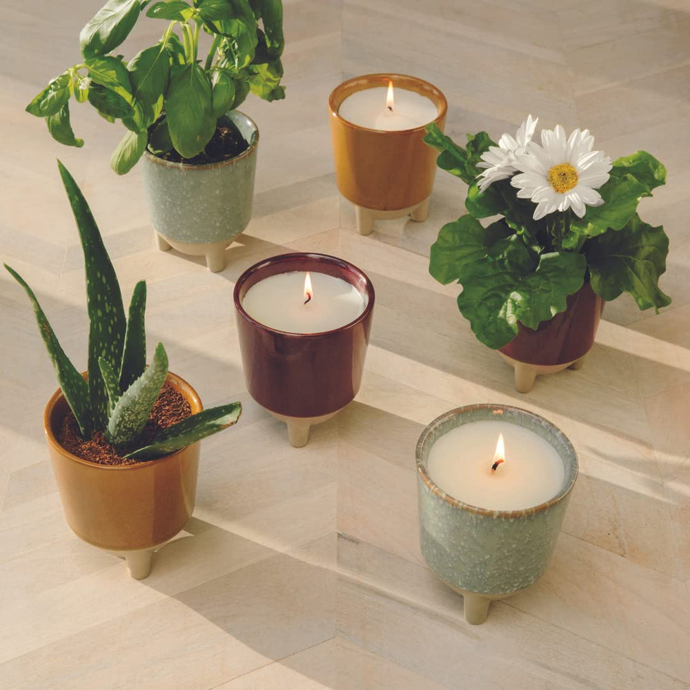 Modern Sprout Glow and Grow packaging and reusable vessel for gifting