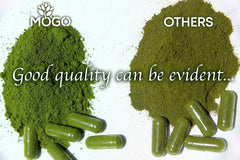 Nutrition facts panel for MOGO Moringa Capsules