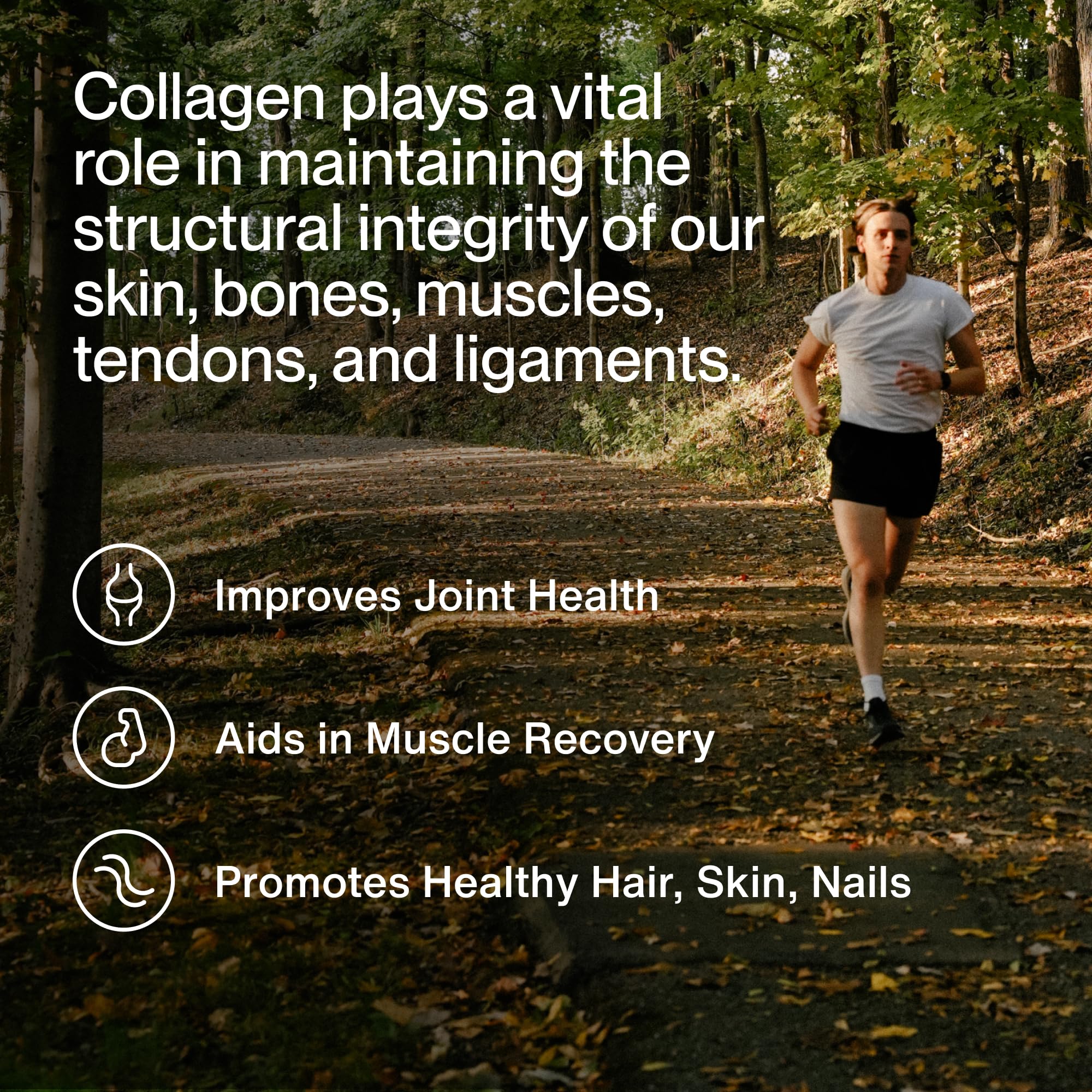 Momentous collagen powder dissolving smoothly in water for quick mixing.