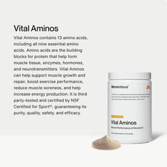 Momentous Vital Aminos Tropical Punch scoop for easy mixing