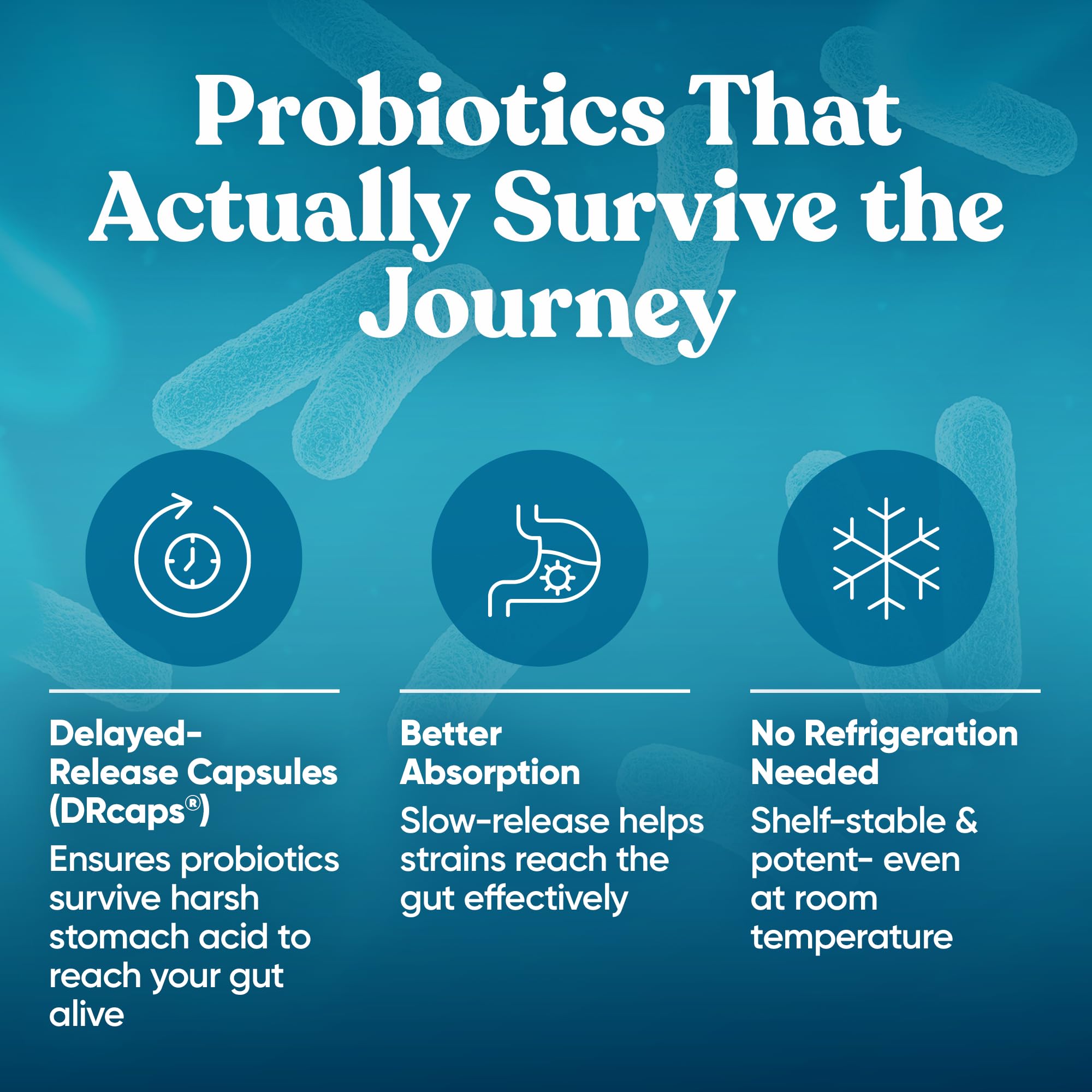 Graphic showing 18 probiotic strains and 14B CFU