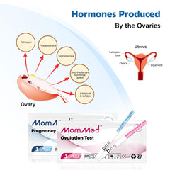Test results display tips and usage guide for MomMed kit
