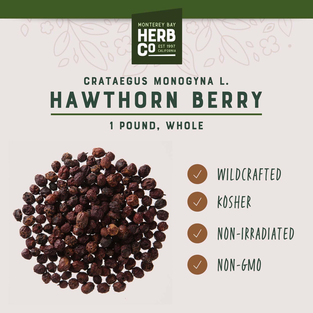 Dried hawthorn berries ideal for tinctures, syrups and extracts