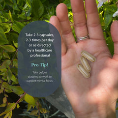 Product imagery focusing on mood, focus, and energy support