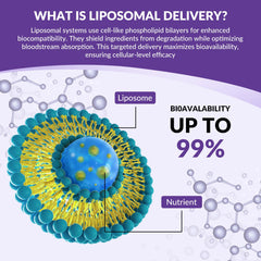 Mood and sleep support imagery for cortisol drops