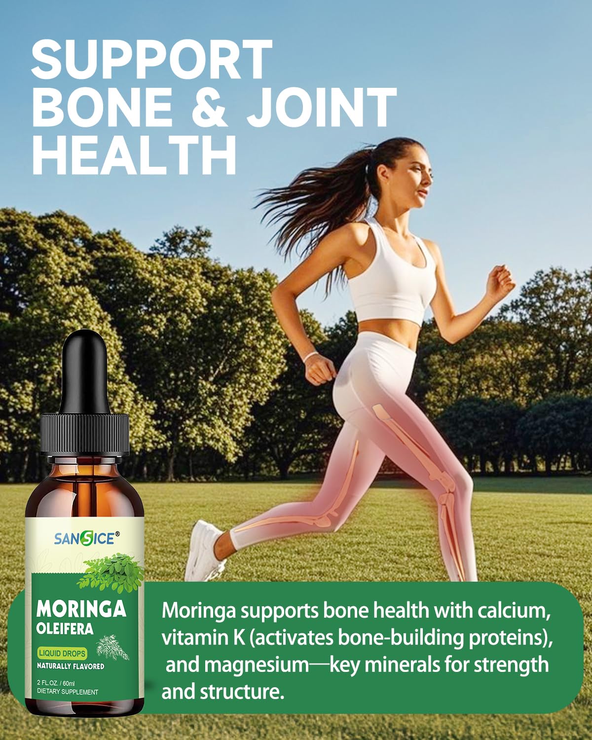 Close-up image highlighting moringa antioxidants
