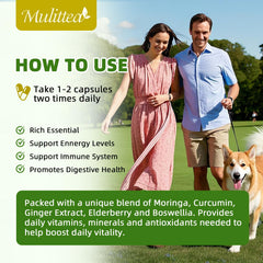 Non-GMO and GMP certified seal on Moringa capsules packaging