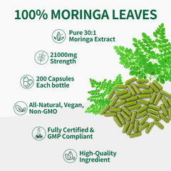Illustration of Moringa extract 30:1 on label