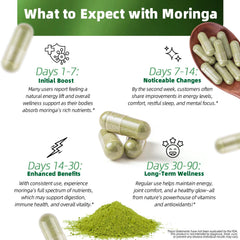 Close-up of moringa leaves and powder