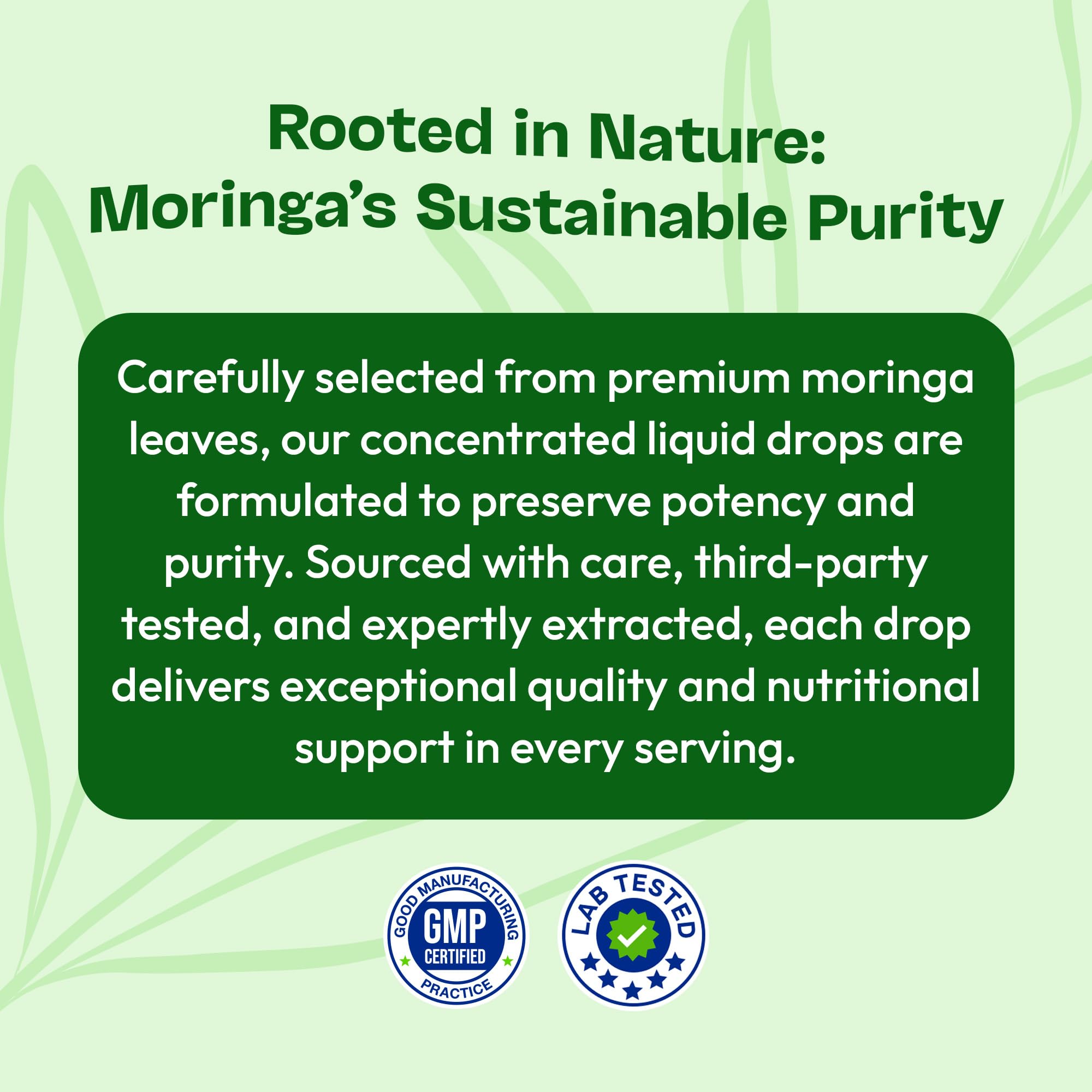 Lifestyle shot of adding moringa drops to tea