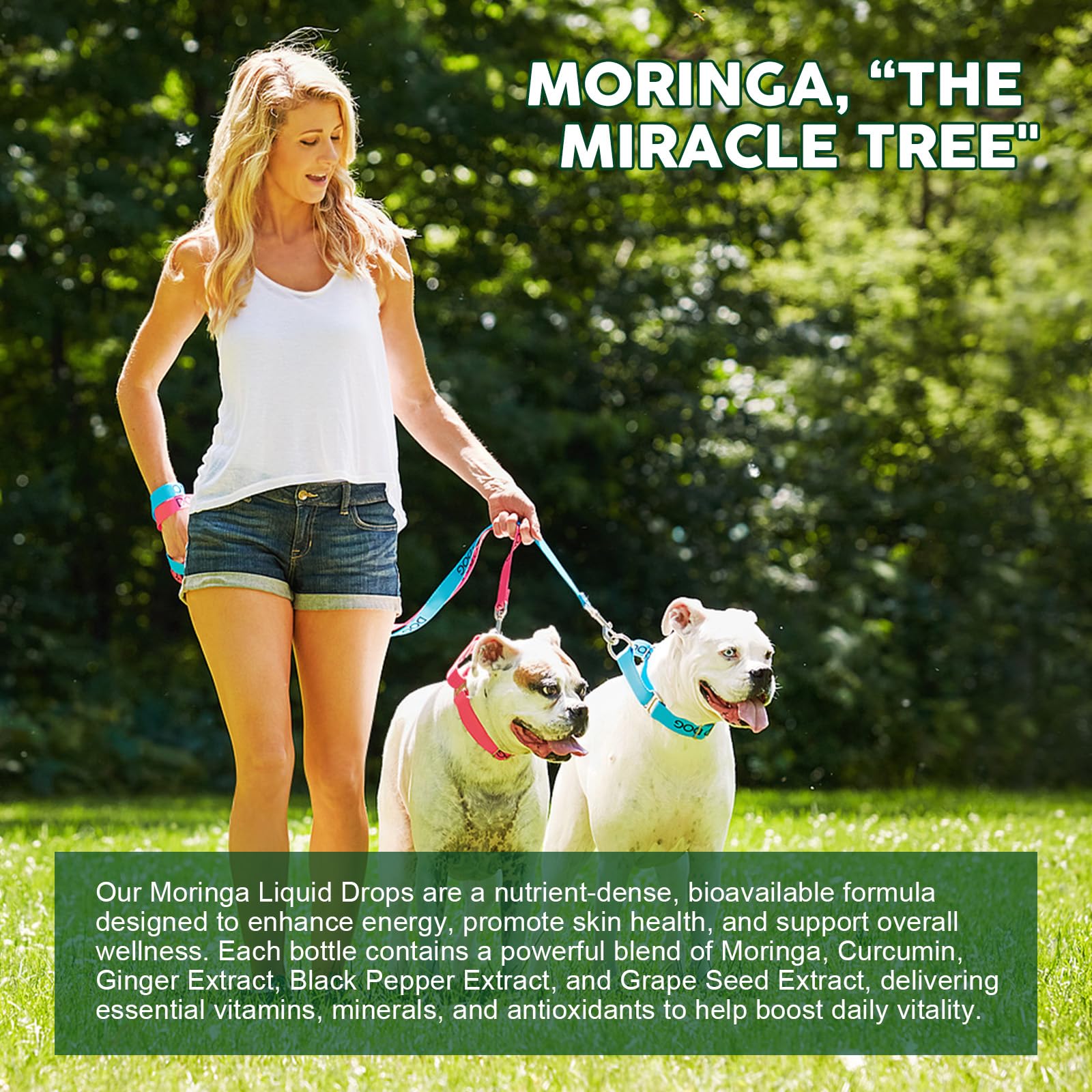 Lifestyle image of moringa liquid drops for daily wellness