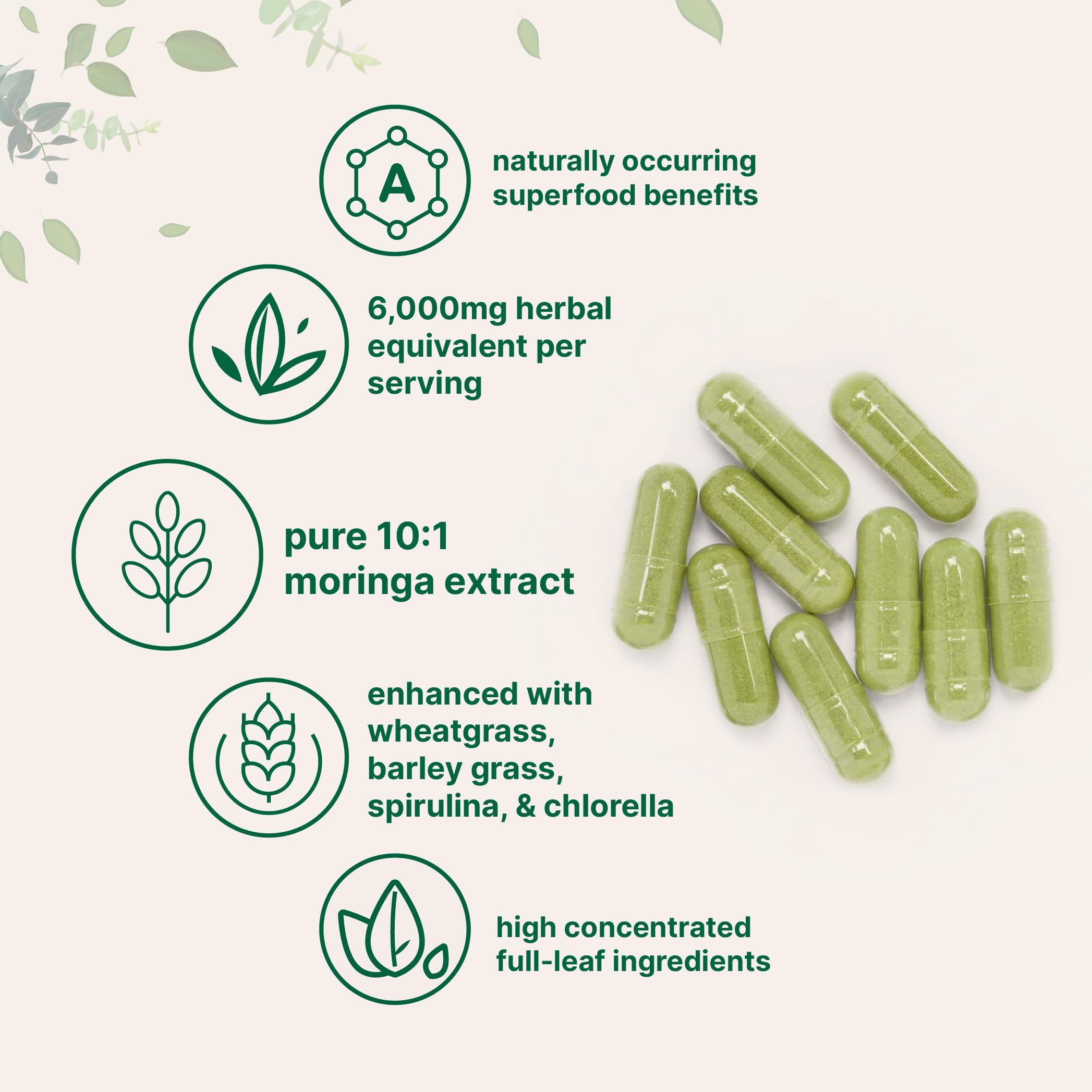 Moringa Oleifera daily serving with 150 servings per bottle