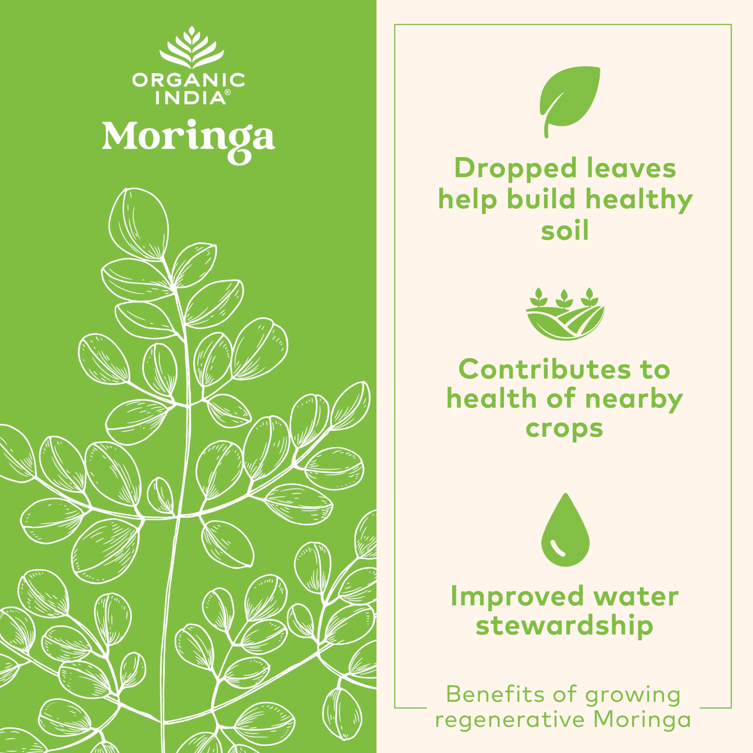 Moringa Oleifera leaf nutrition concept