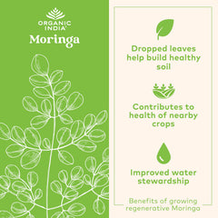 Moringa Oleifera leaf nutrition concept