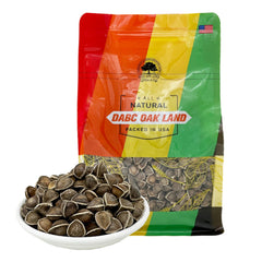 Close-up of premium moringa seeds