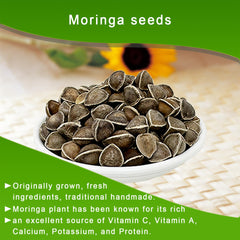 Moringa seeds ready for planting