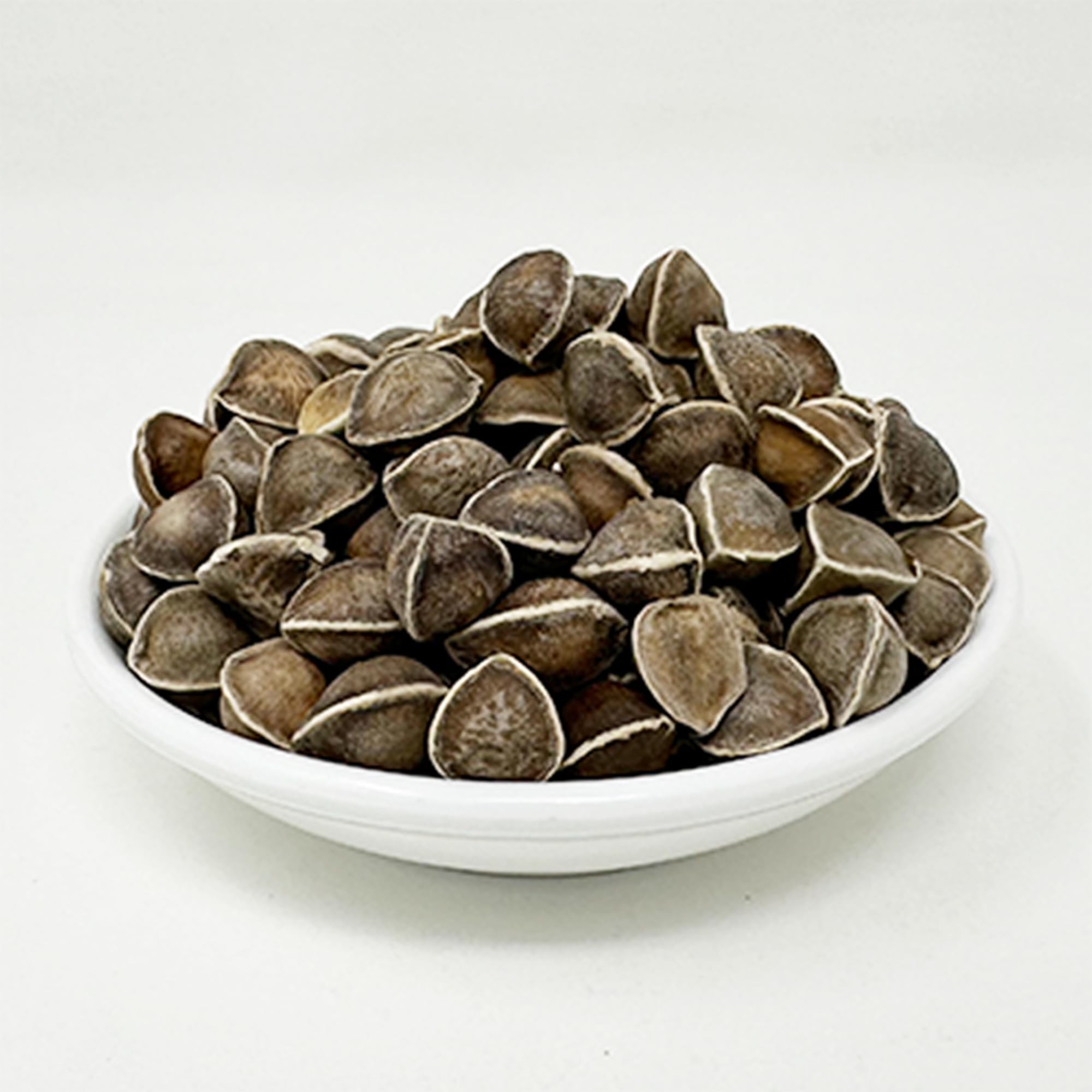 Malunggay drumstick tree seeds from India