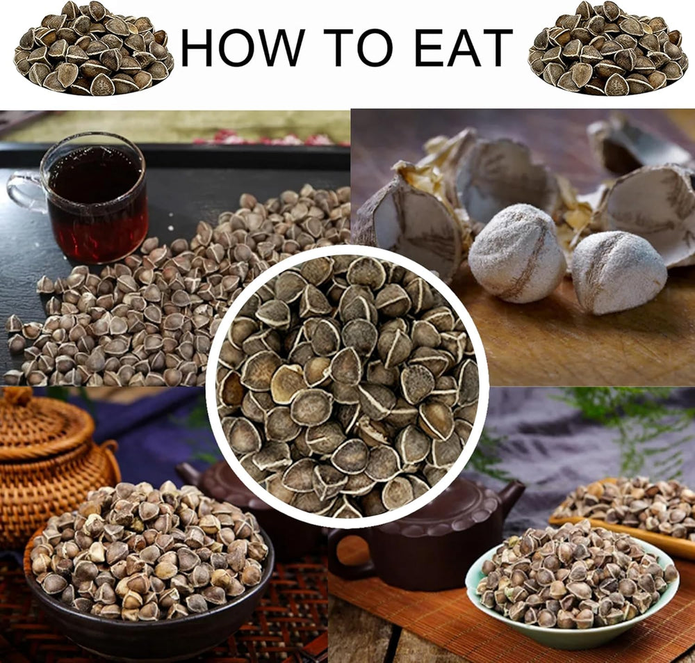 Edible moringa seeds rich in vitamins and minerals