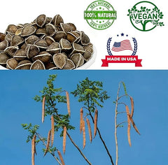 8 oz bag of moringa seeds for planting and consumption