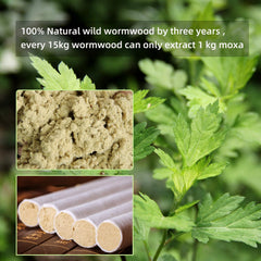 Natural Chinese herb moxa leaves for moxibustion