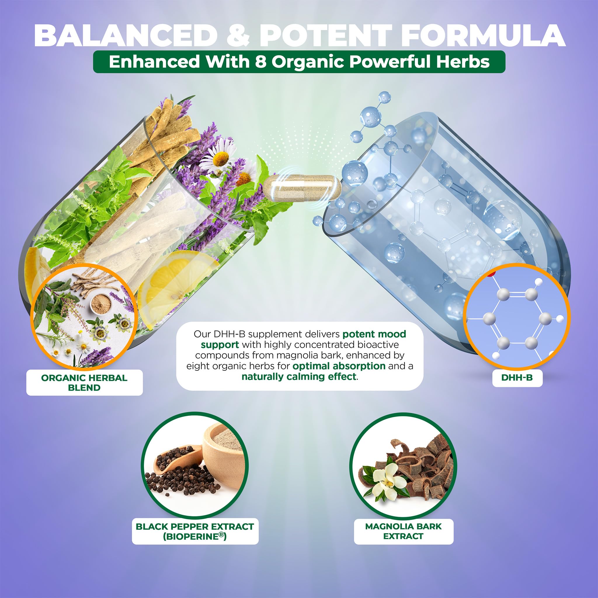 Illustration highlighting honokiol and magnolol content in DHH-B