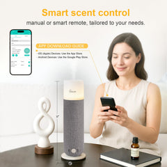 Cold air nebulization diffuser releasing scent particles