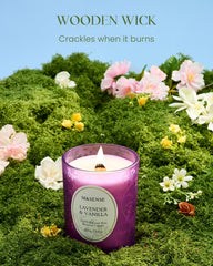 Close-up of crackling wooden wick