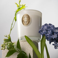 Premium essential oils label on M&SENSE candle