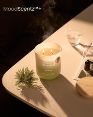 Candle burning with warm amber flame