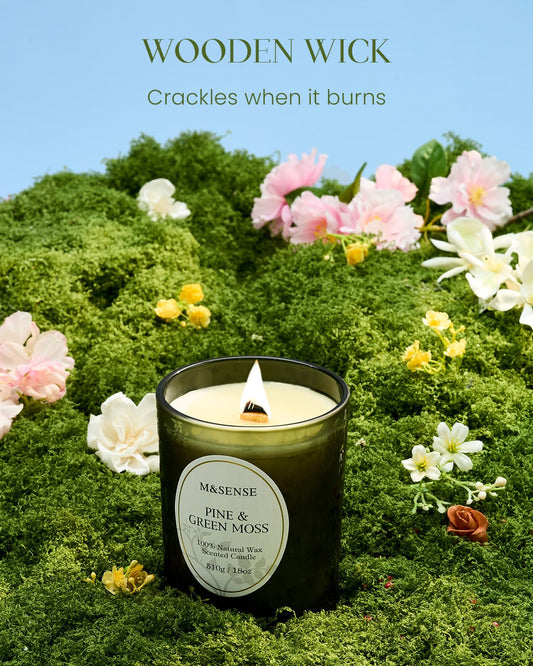 Close-up of crackling wooden wick in Pine & Moss candle
