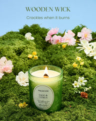 Crackling wooden wick lit in Sage Citrus candle