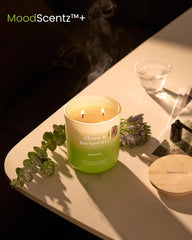 Candle packaging in recyclable box for sustainability